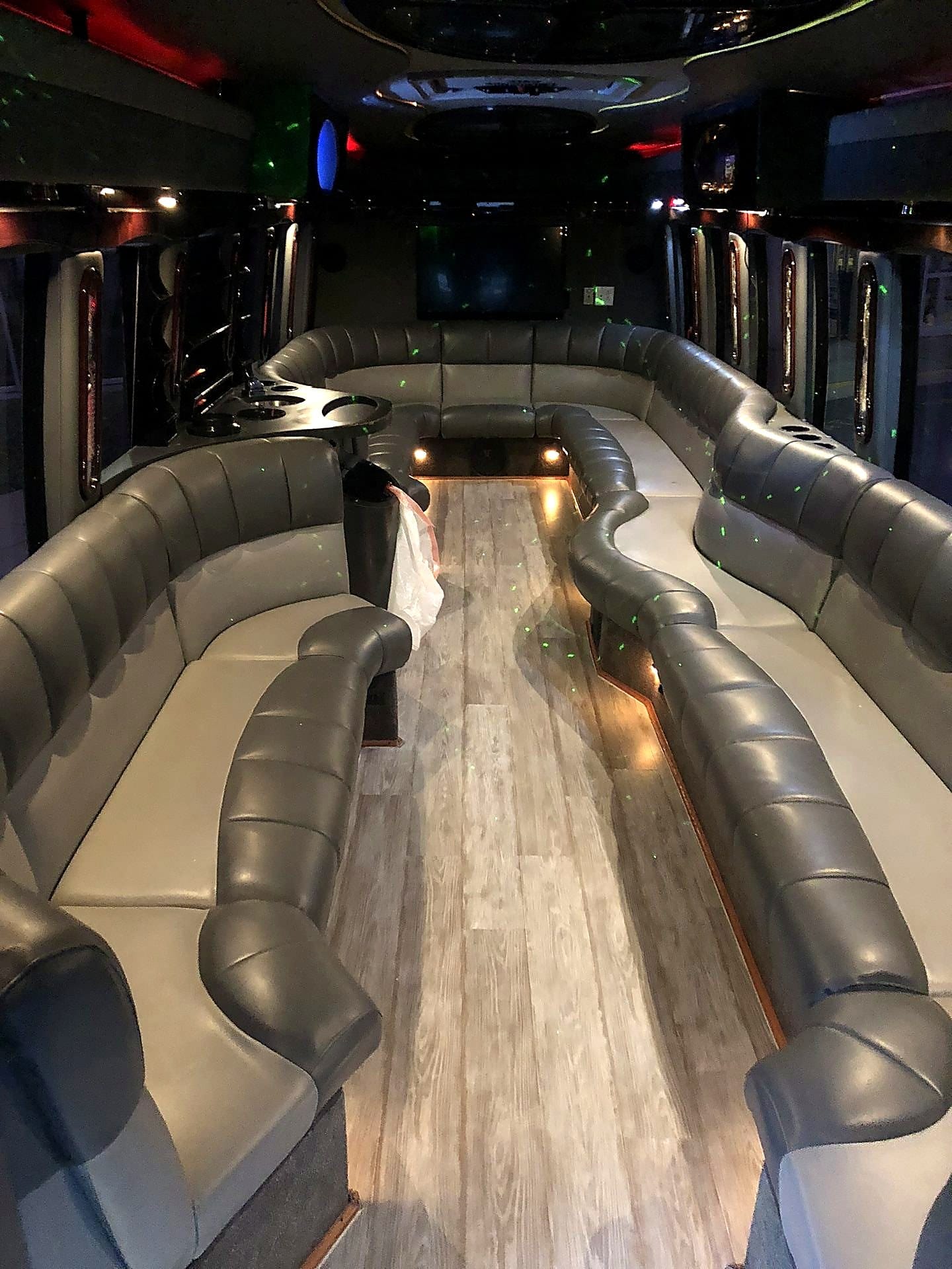 Cavalier 28 executive bus interior with two-tone grey leather